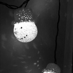 Meet your Posher, Lindee